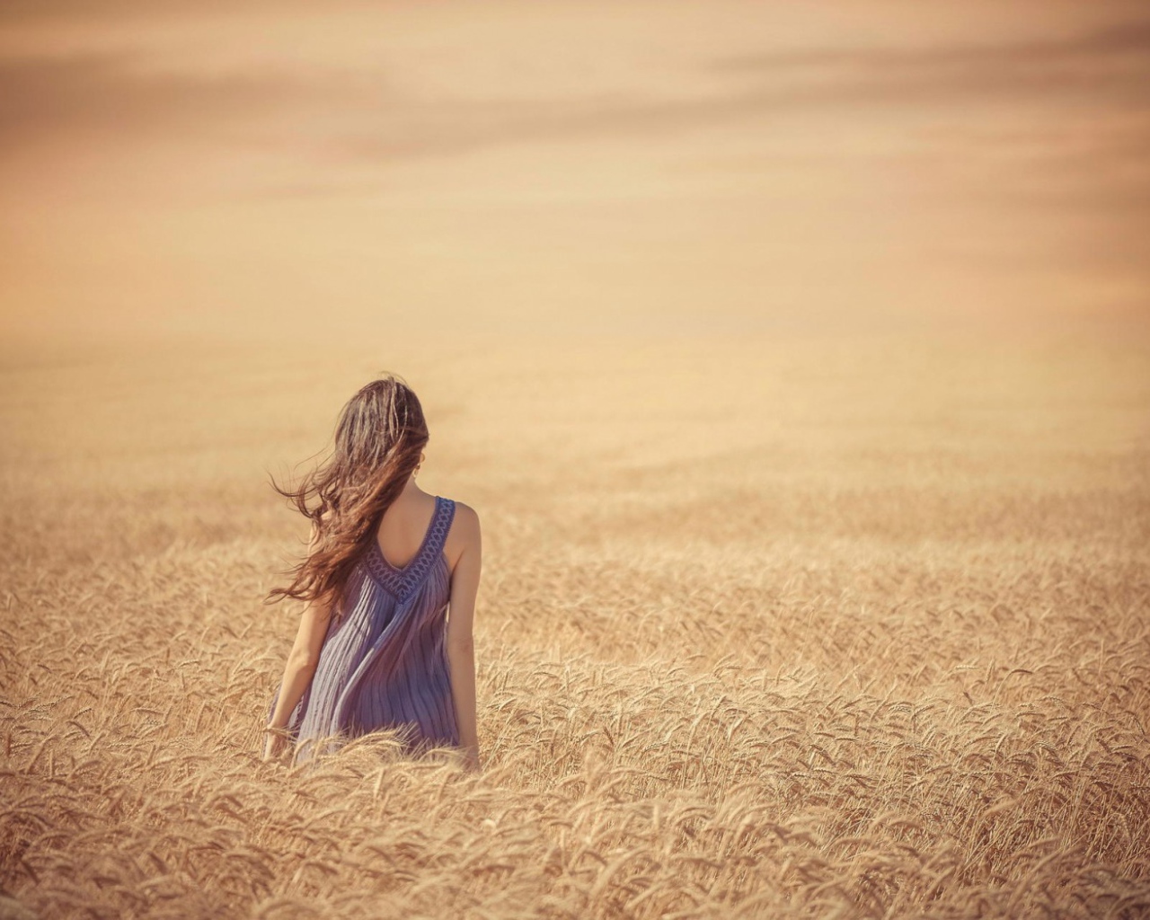 Девушка среди поля спелой пшеницы