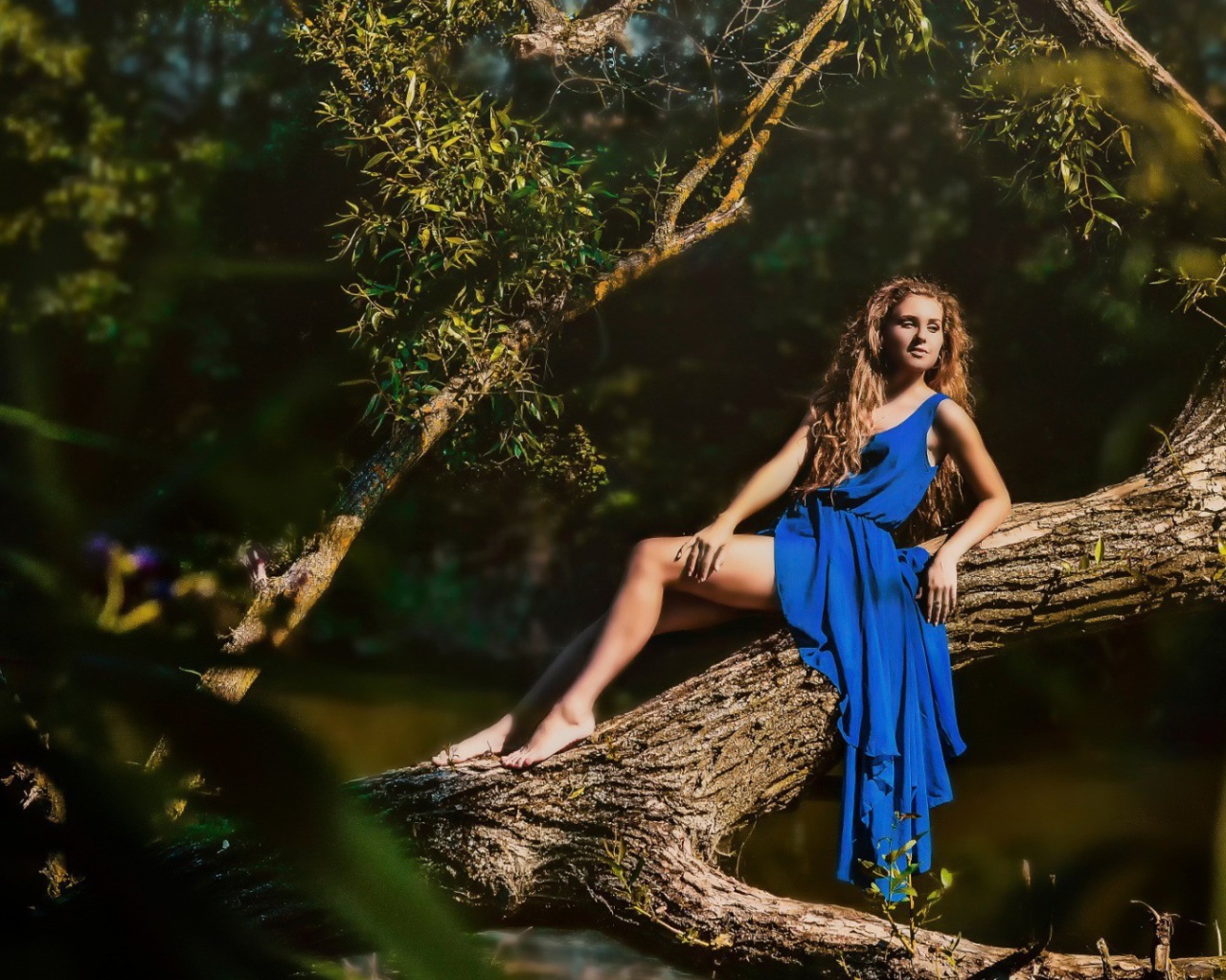 Девушка в голубом платье на дереве