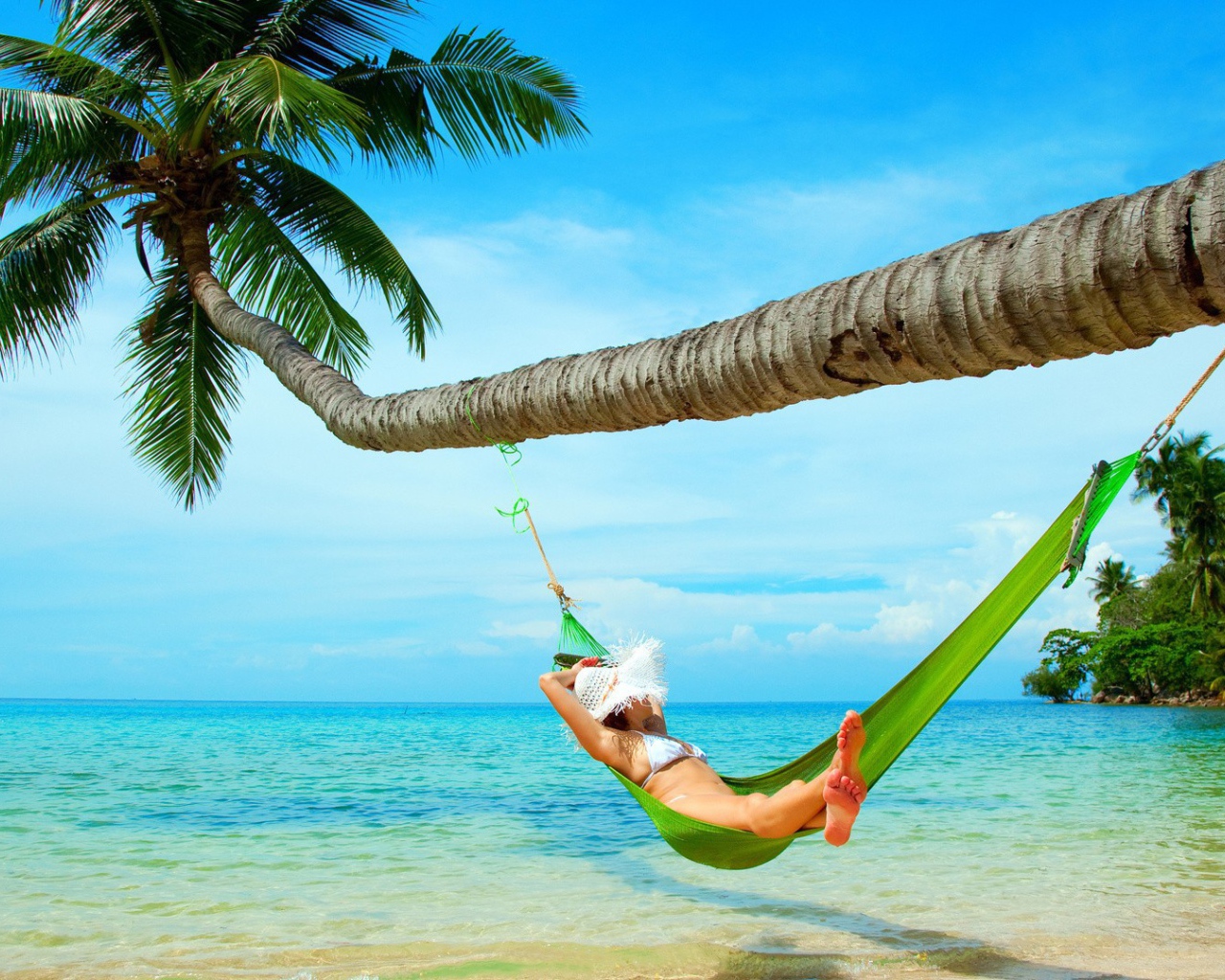 Девушка в зеленом гамаке под пальмой
