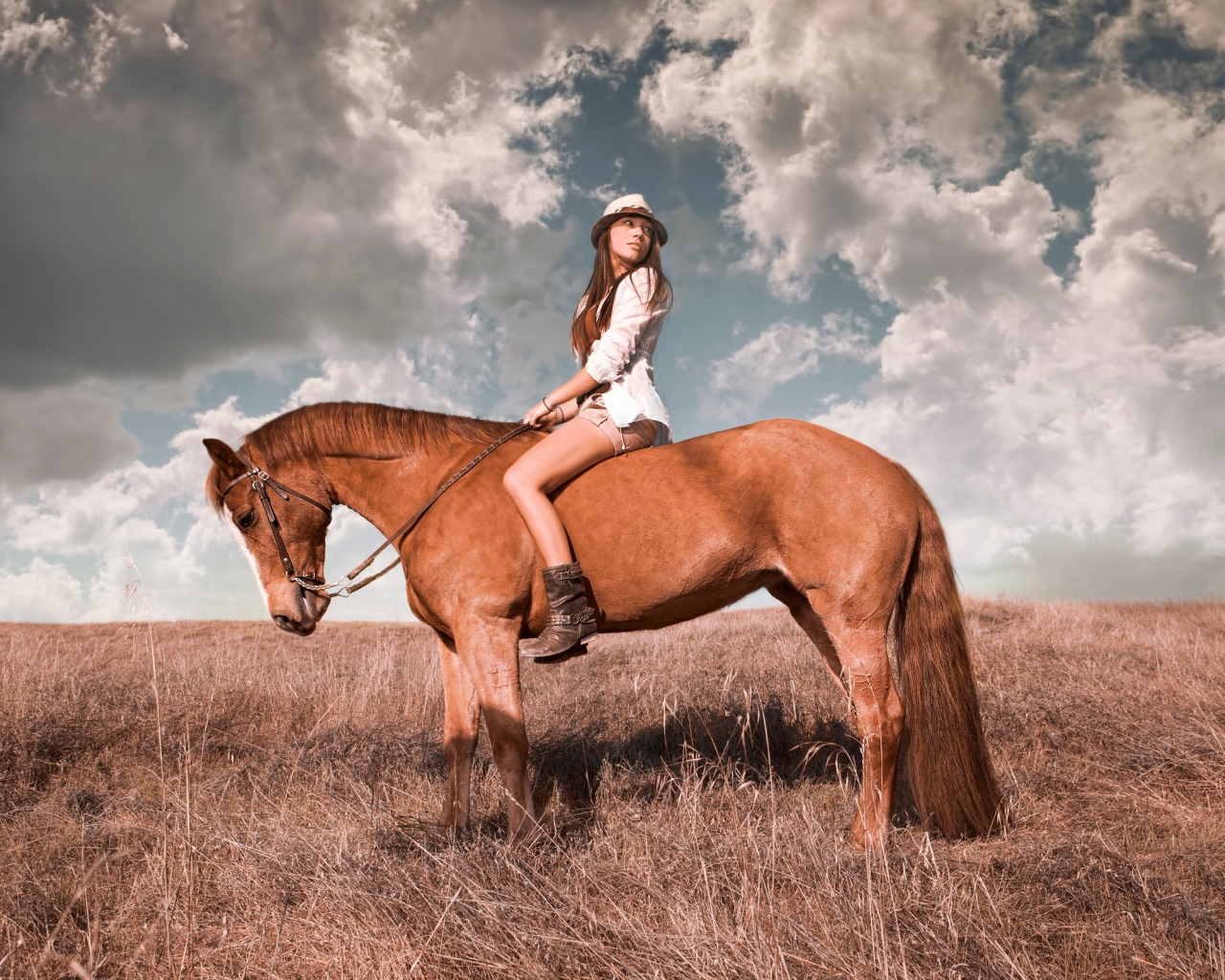 Девушка в шляпе верхом на лошади