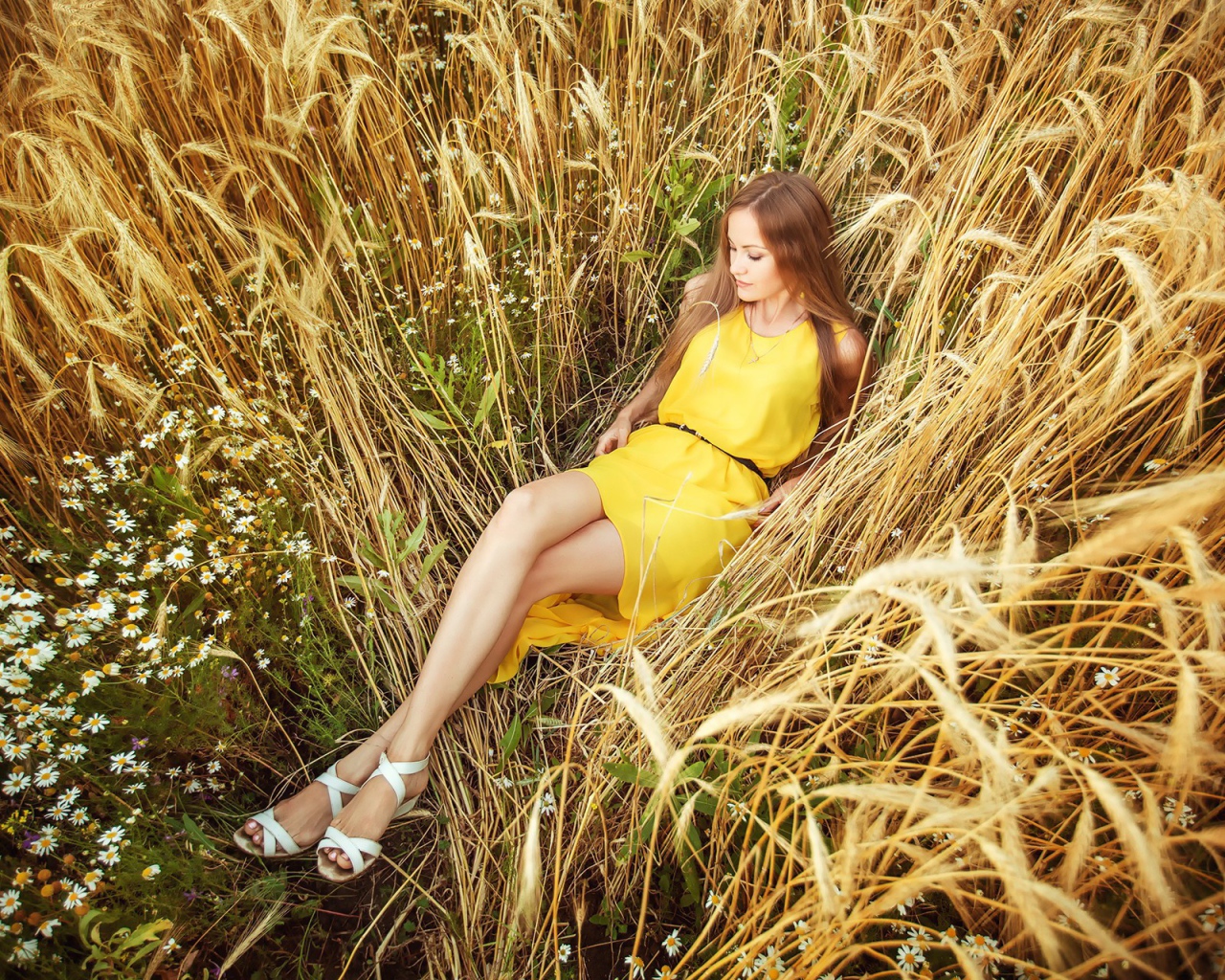 Девушка в желтом платье лежит на колосках пшеницы