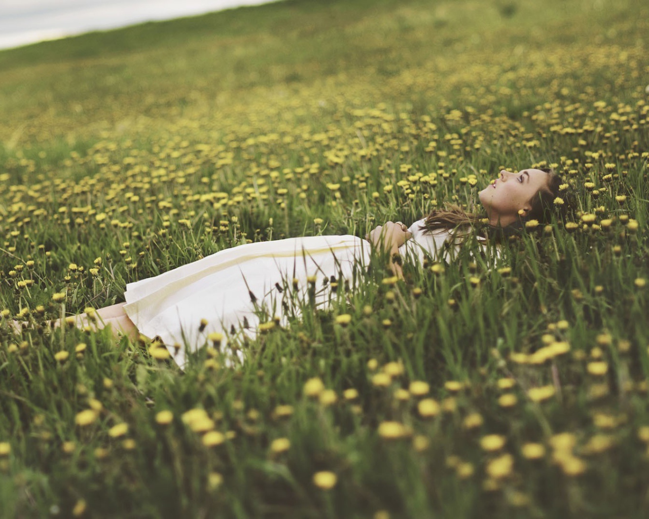 Девушка лежит в поле среди одуванчиков