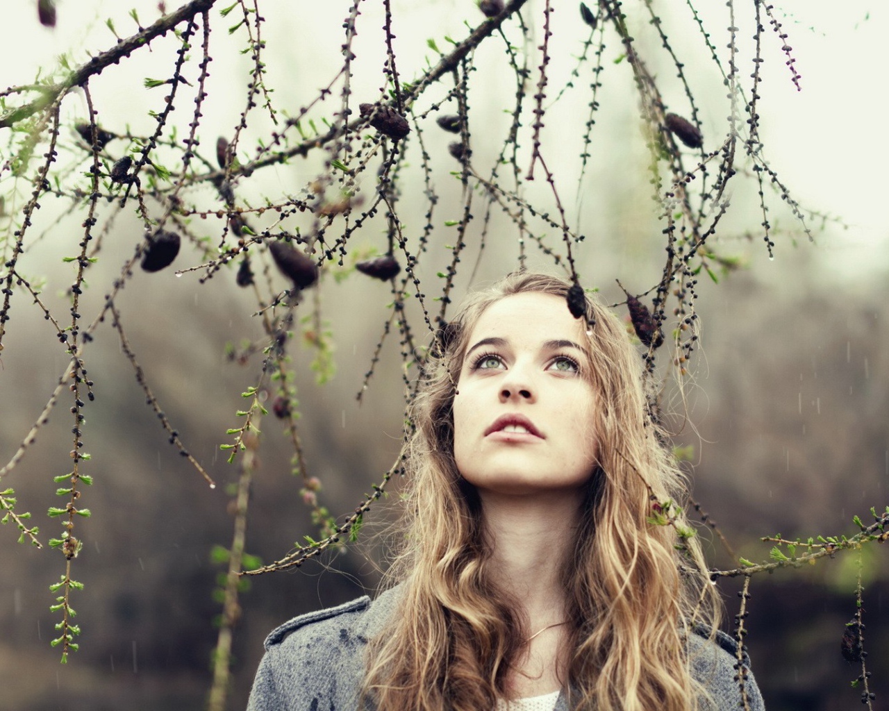 Девушка под лиственницей