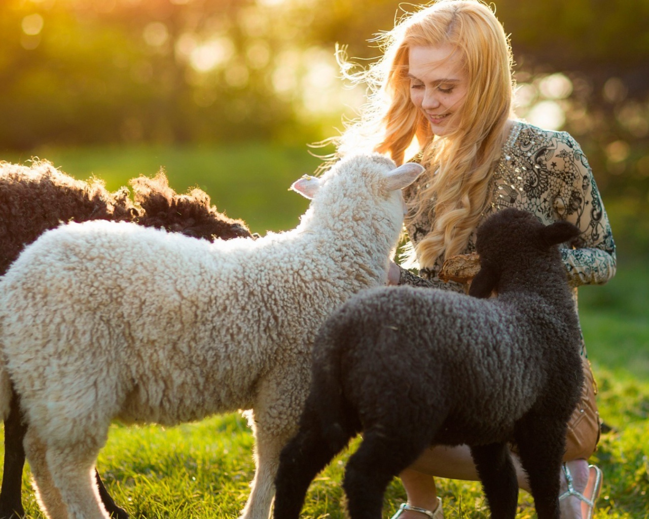 Девушка с ягнятами