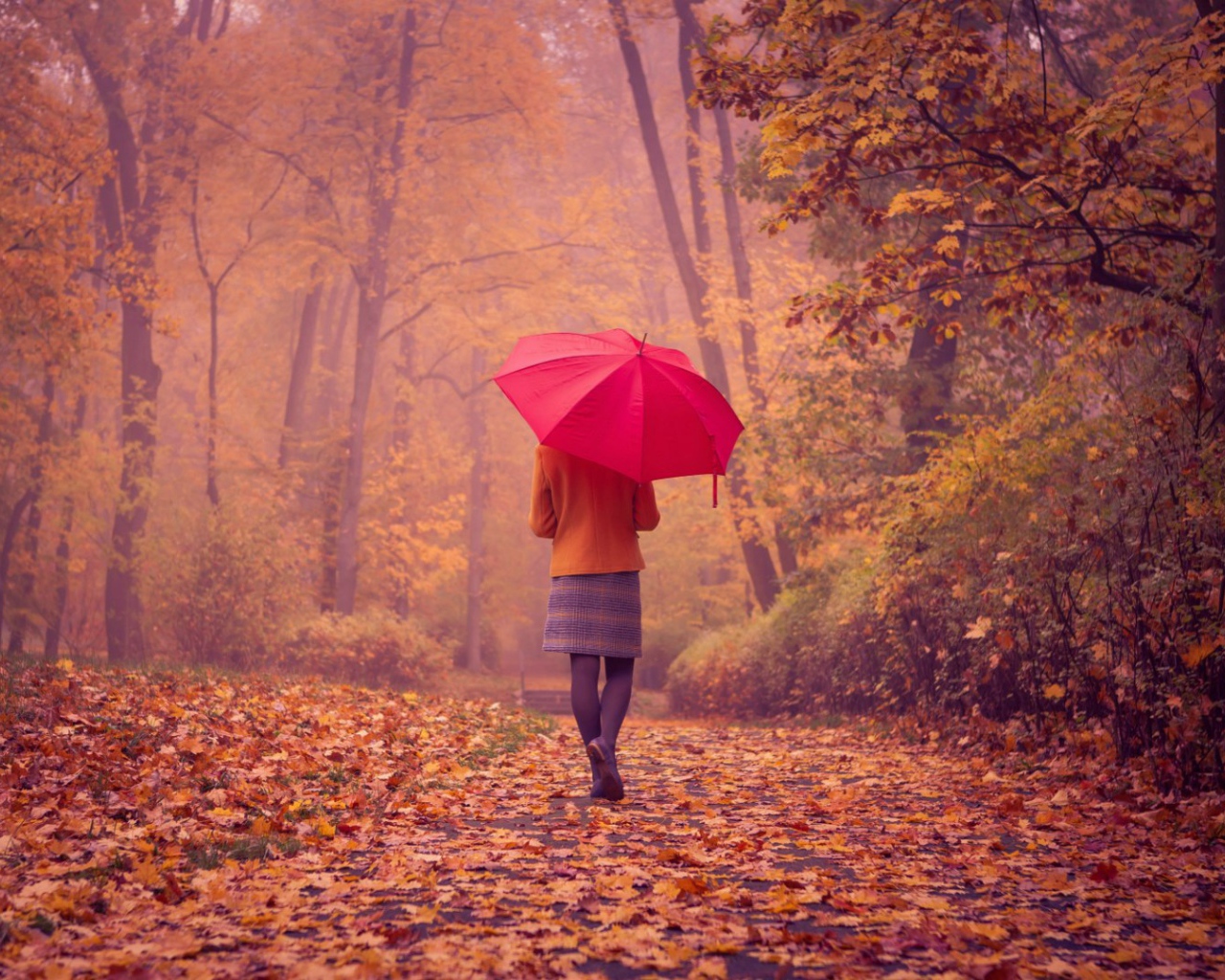Девушка с красным зонтом идет по аллее