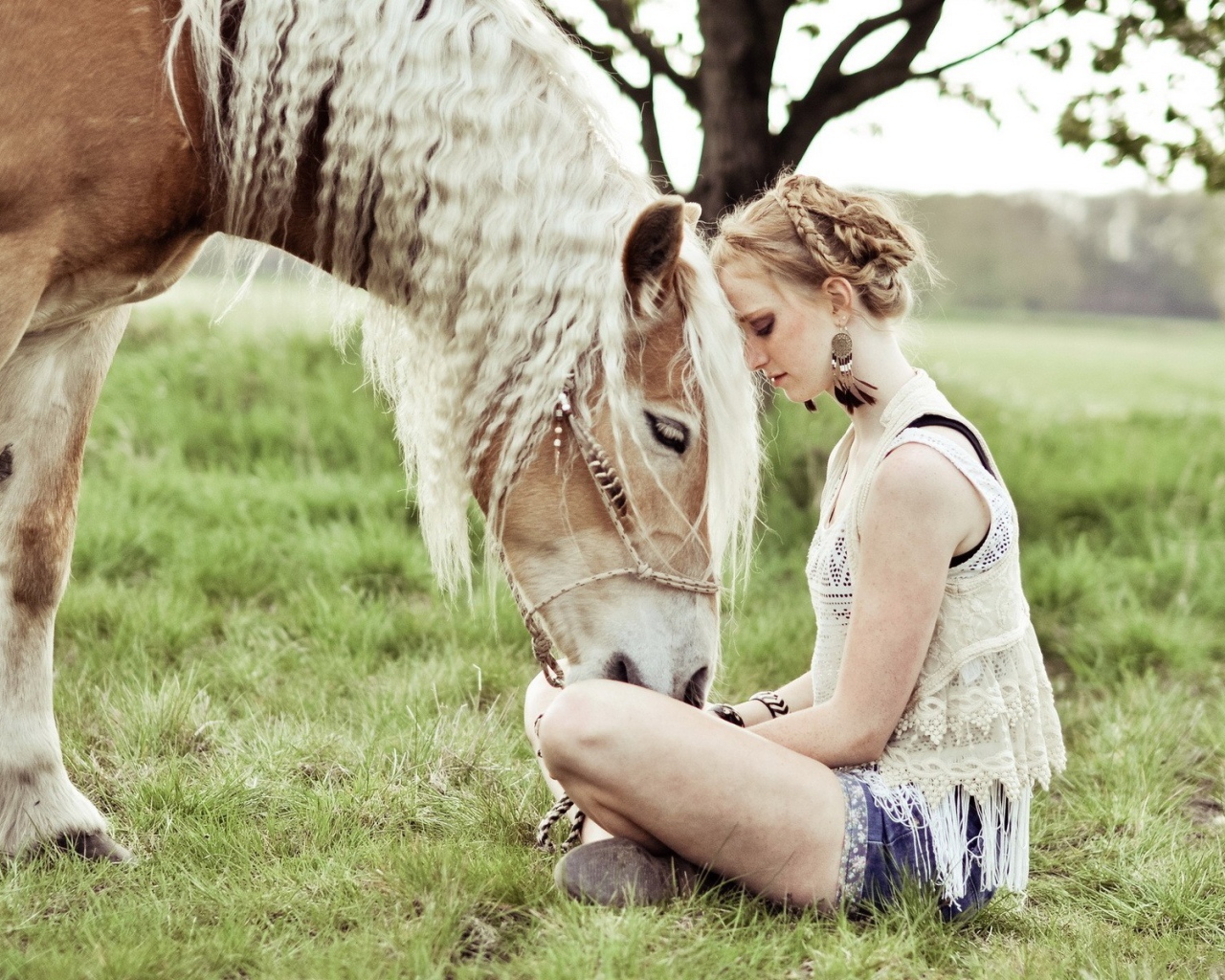 Лошадь прислонилась к девушке