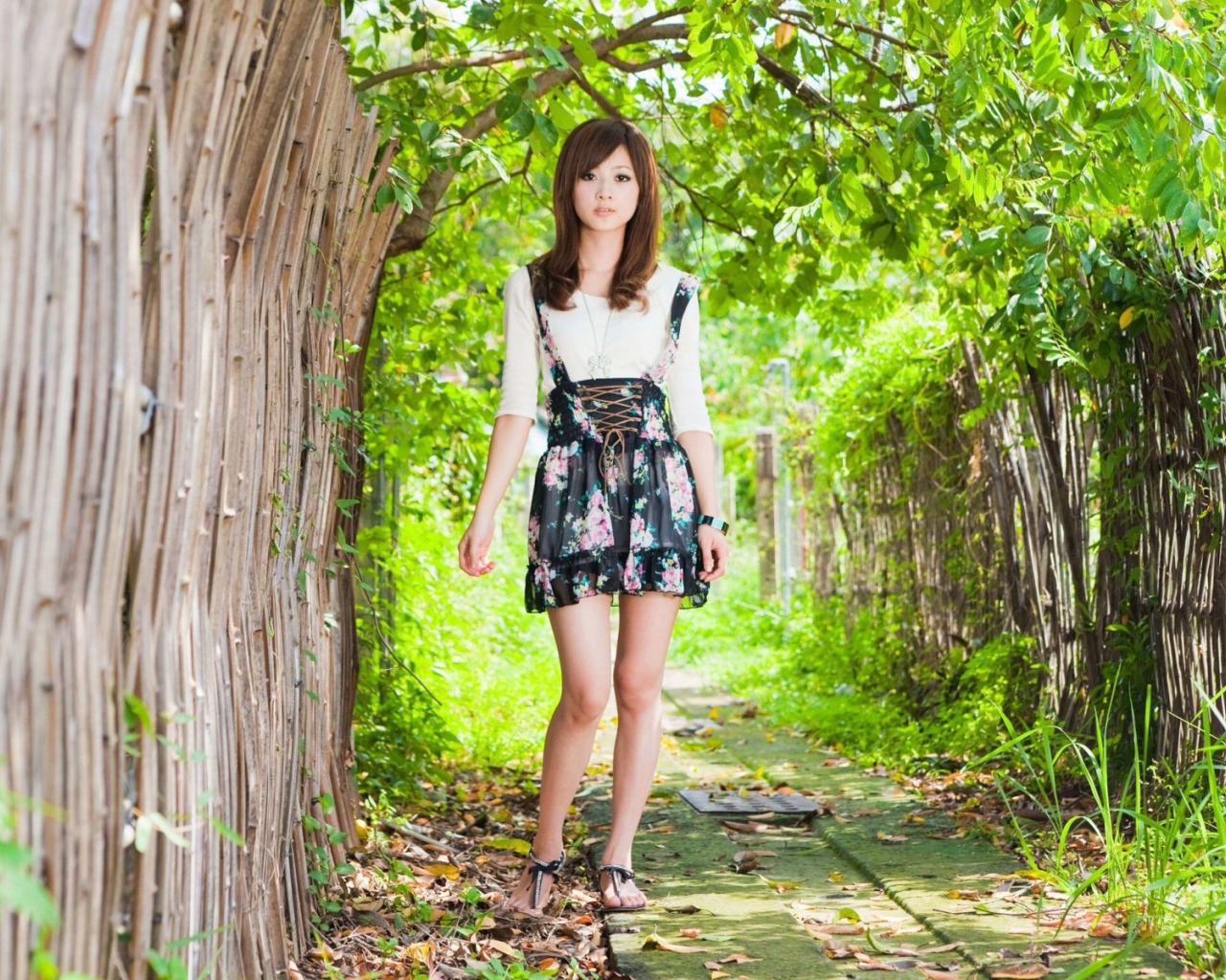 Японская девушка у бамбукового забора