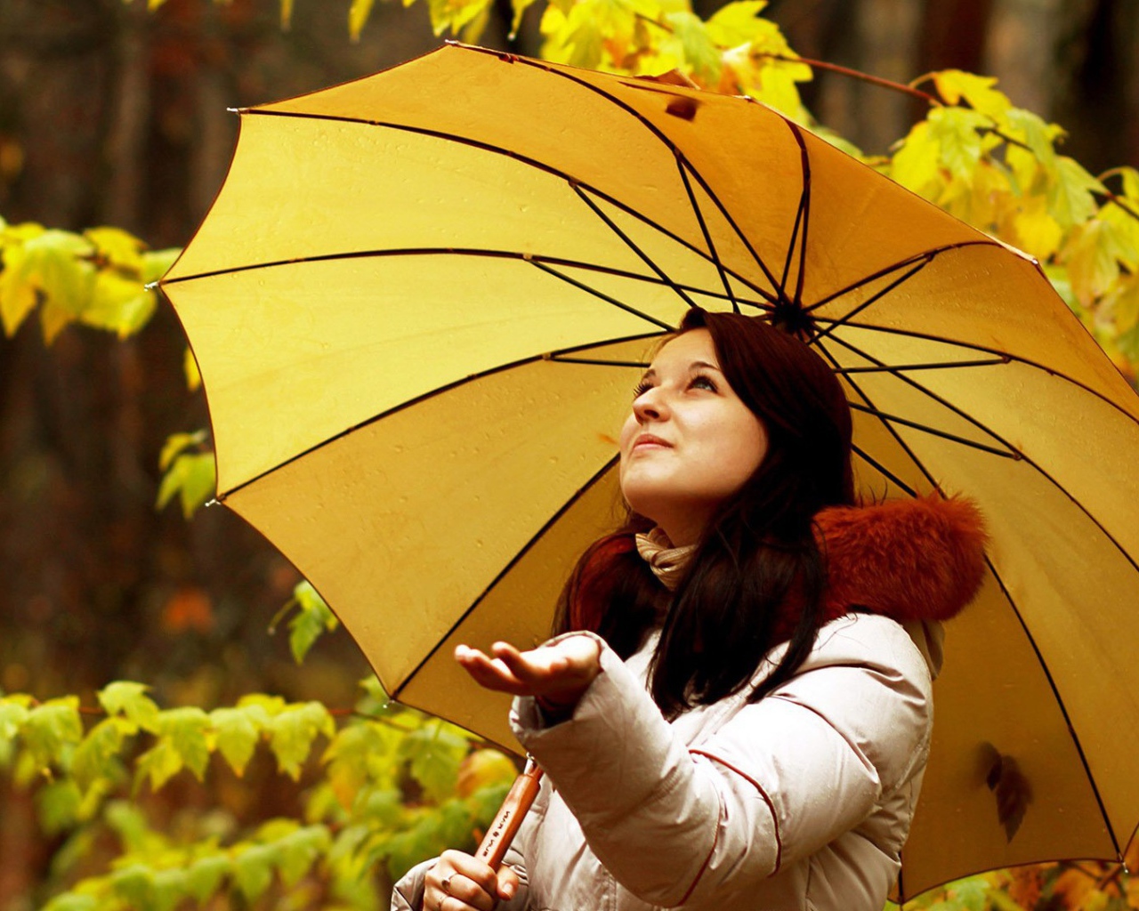 Милая девушка ловит капли осеннего дождя