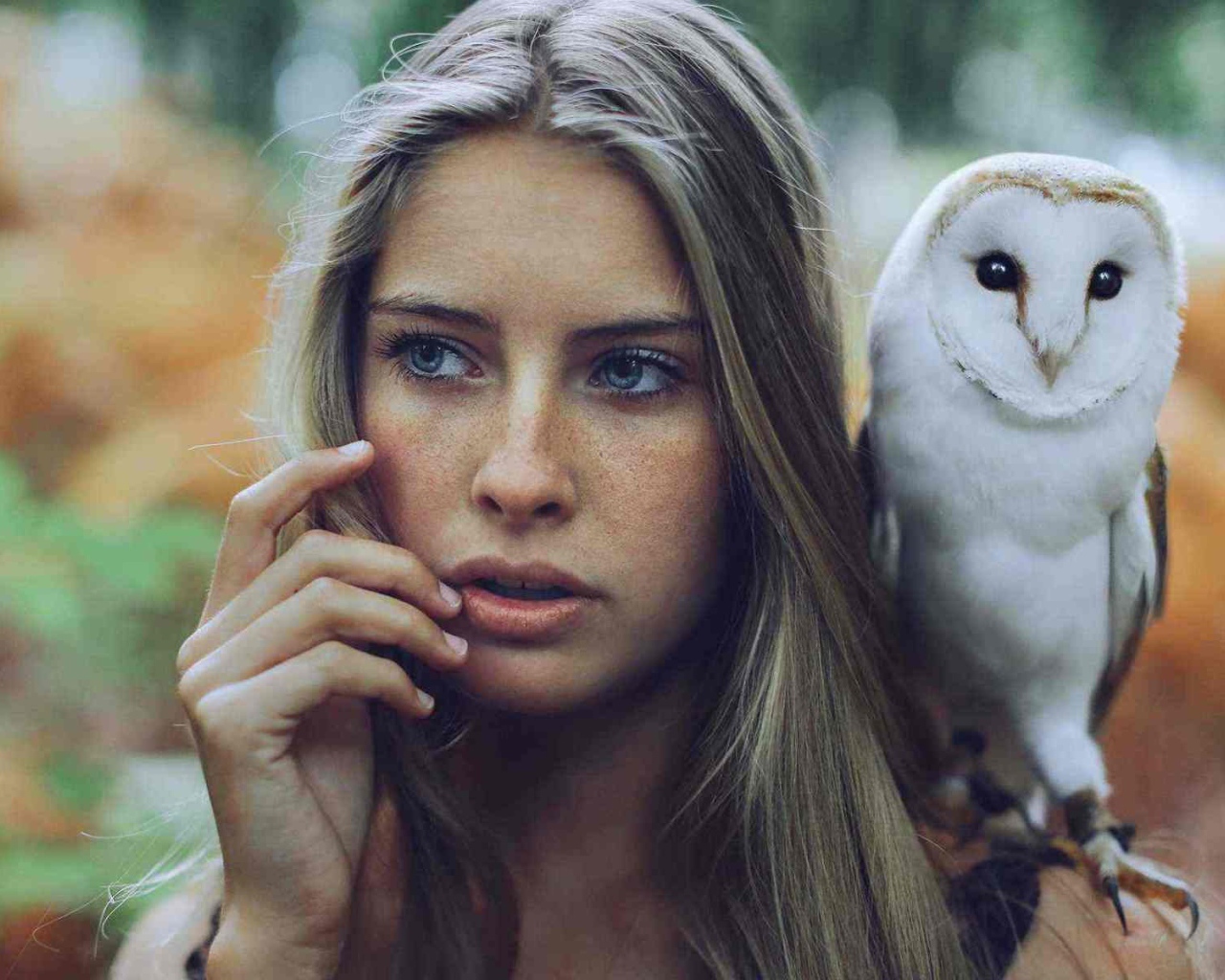Сова на плече у девушки