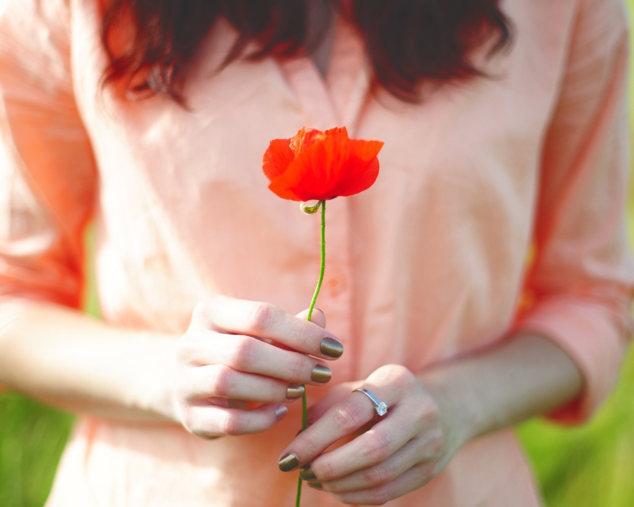 Мак в руках у девушки