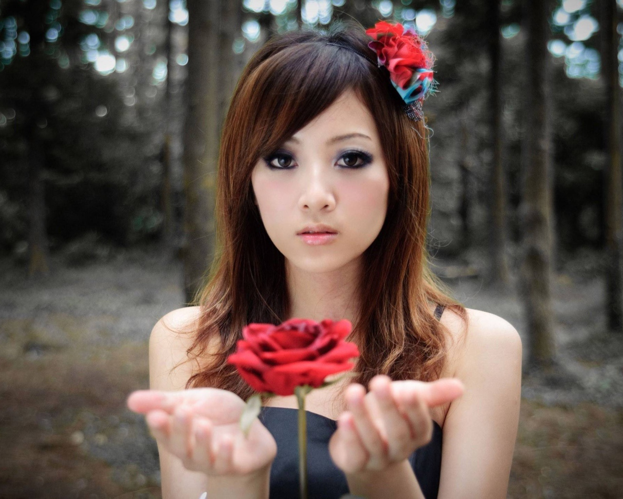 Роза парит в руках у девушки