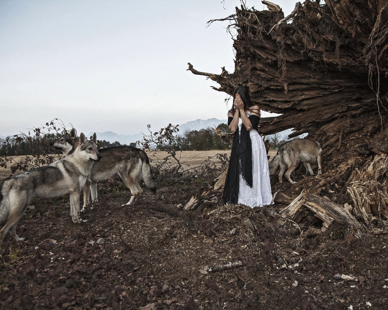 Девушка закрыла лицо в окружении волков