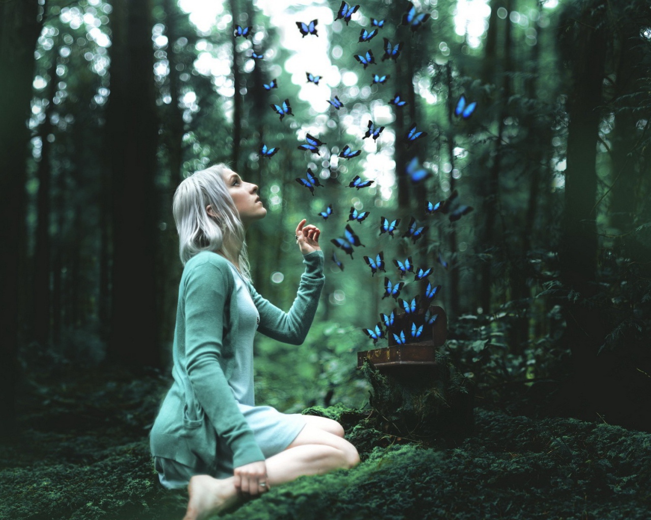 Девушка выпустила бабочек на свободу