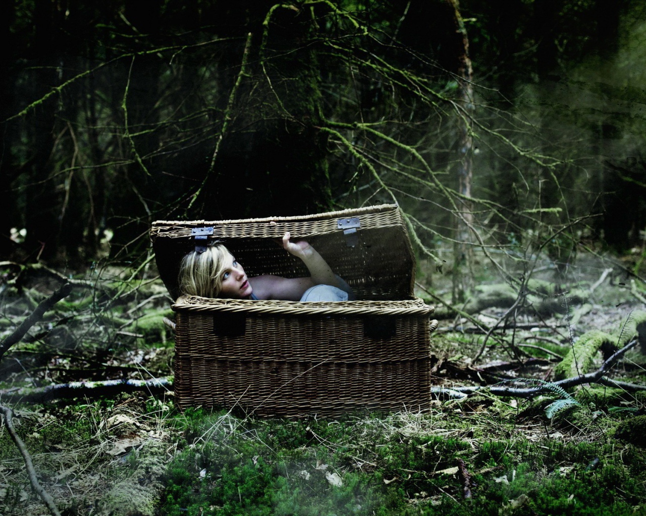 Блондинка в корзине в лесу