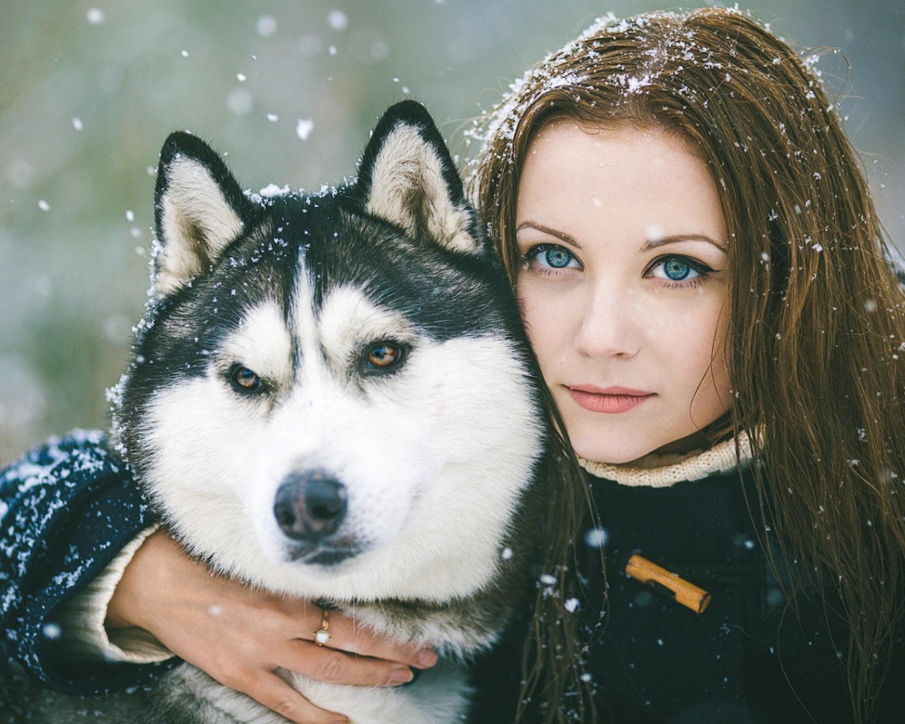 Девушка обняла собаку хаски
