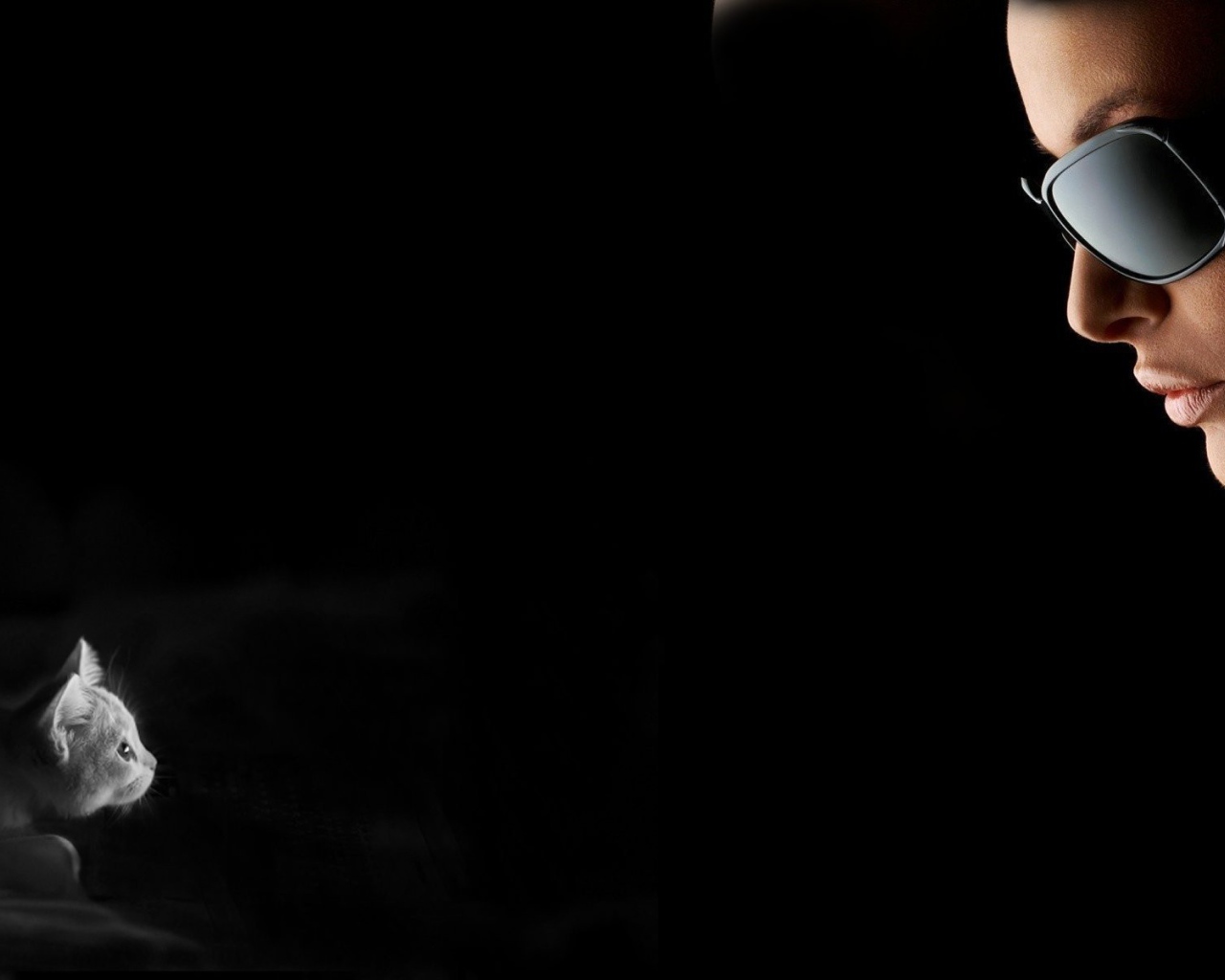 Девушка смотрит на котенка, черный фон