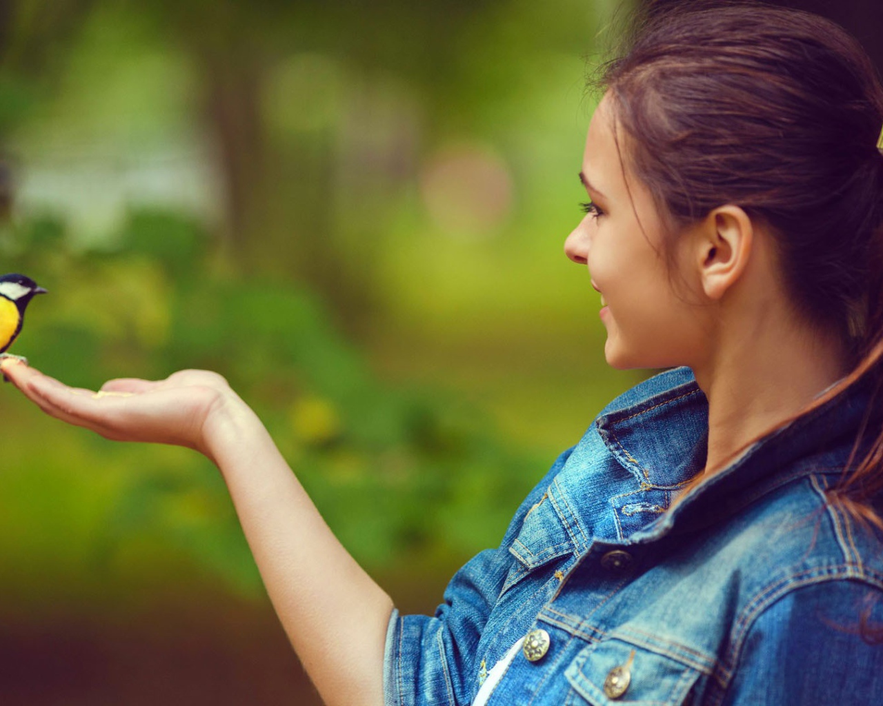 Синица сидит на руке у девушки