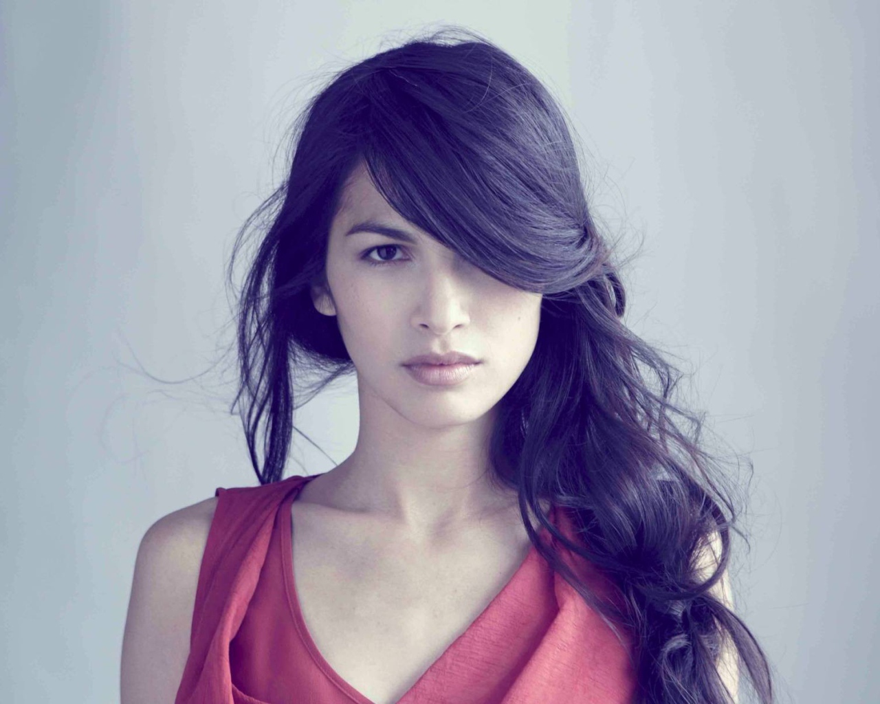 Модель Элоида Янг