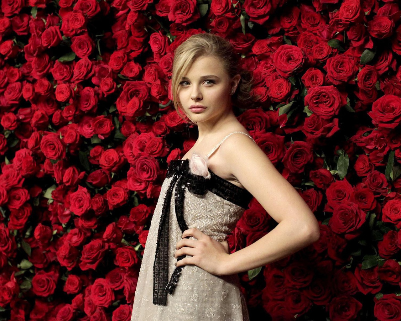 Модель Хлоя Грэйс у стены из роз