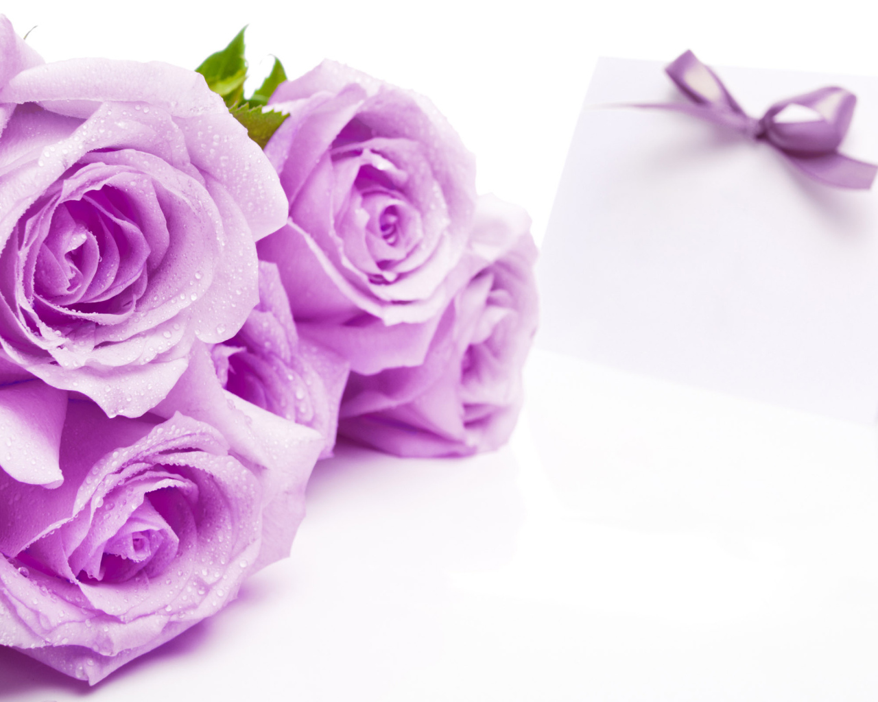 Bouquet of purple roses on March 8 for the beloved