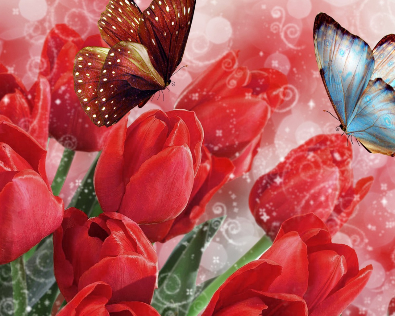 Бабочки на тюльпанах на 8 марта