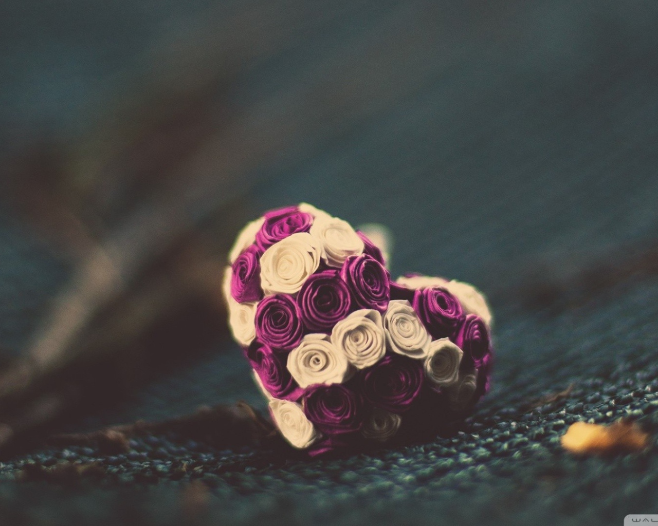 Маленькое сердце из розовых и белых цветов