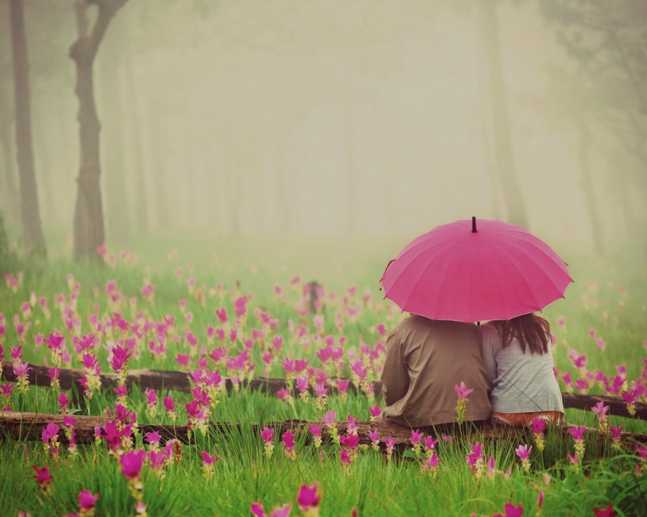 Двое сидят под зонтом