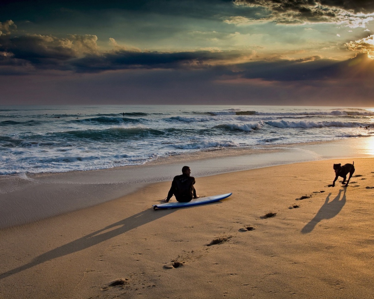 Серфер с собакой на пляже