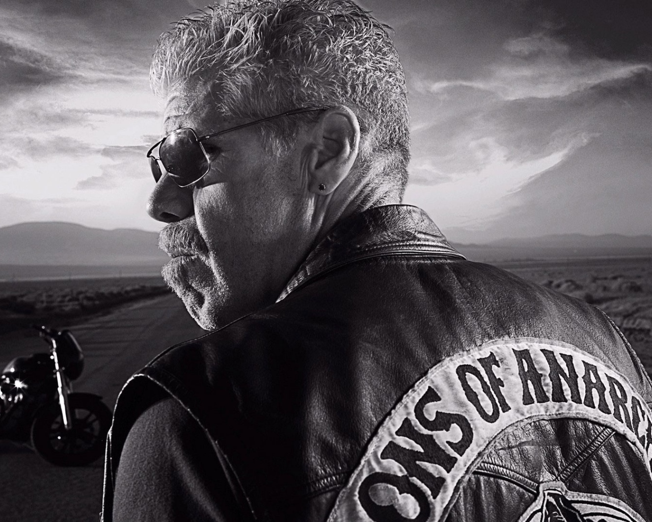 Байкер на дороге, Сыны анархии