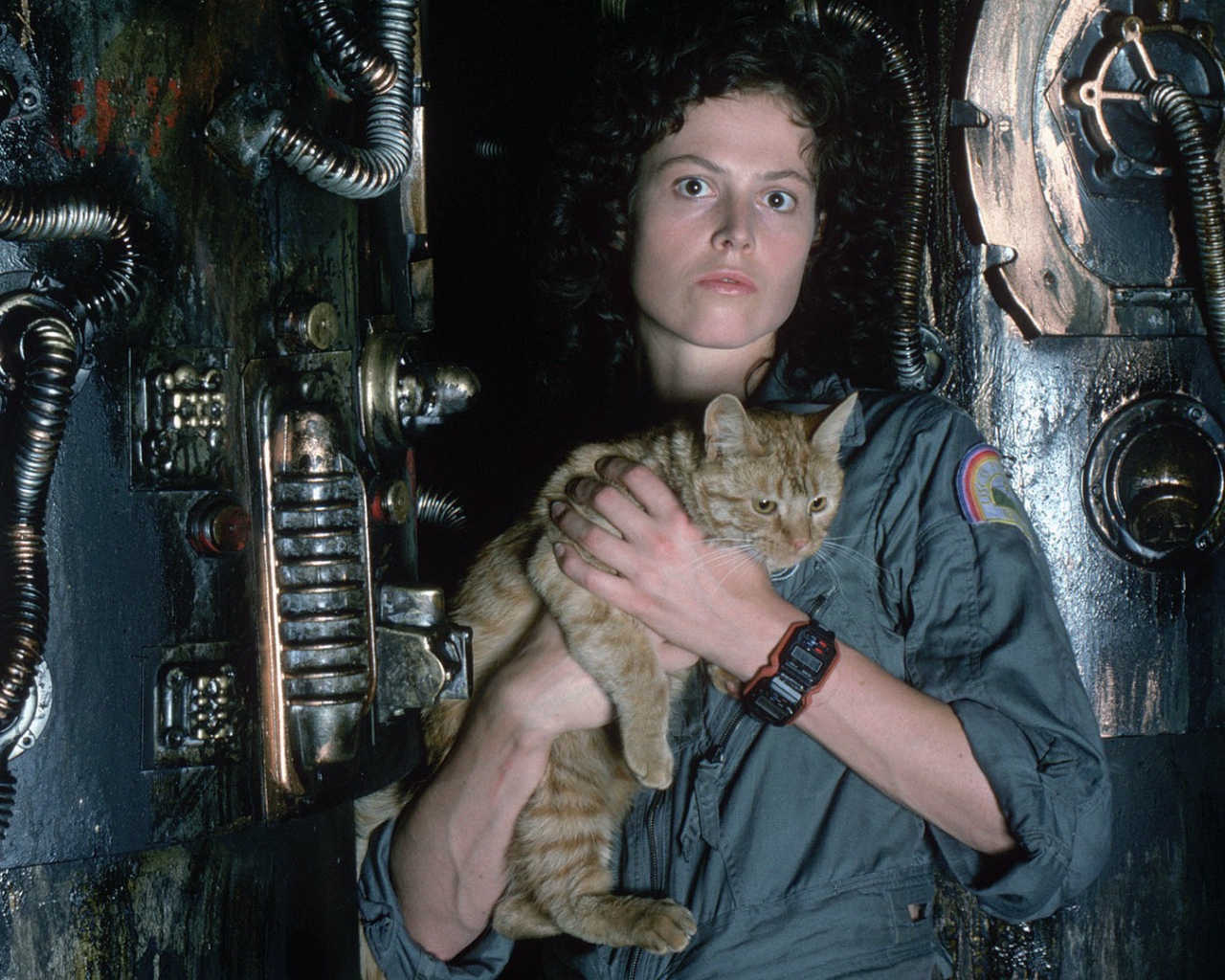 Девушка с котом на руках, фильм Чужой