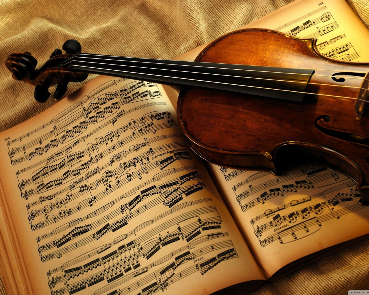 Скрипка на книге с нотами