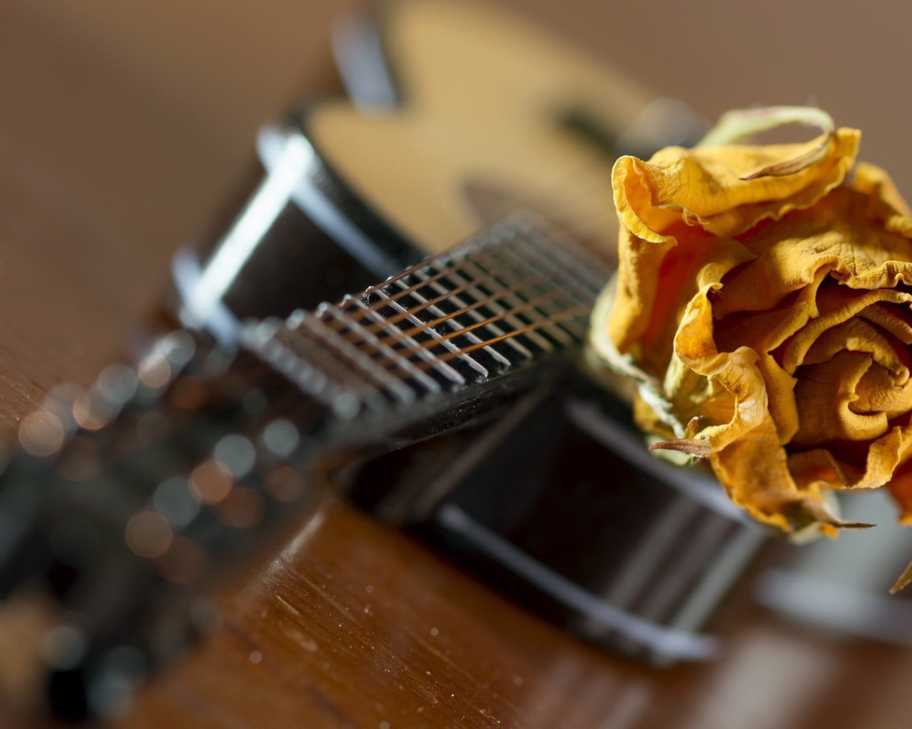 Желтая роза на гитаре