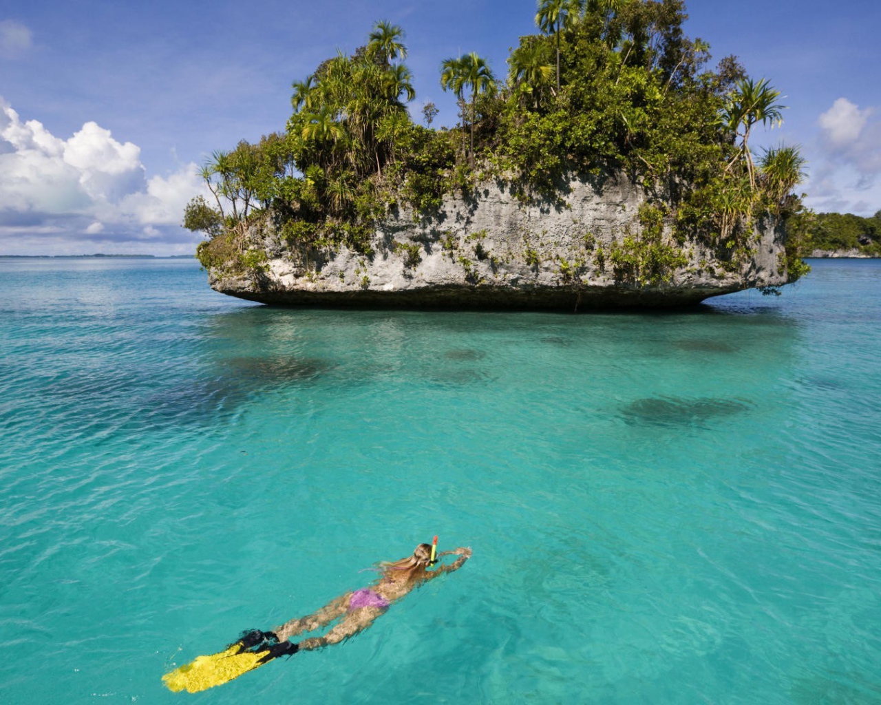 Дайвер плывет к скале