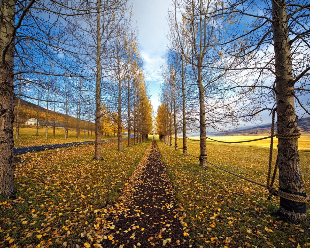 Забор из каната на ровной аллее