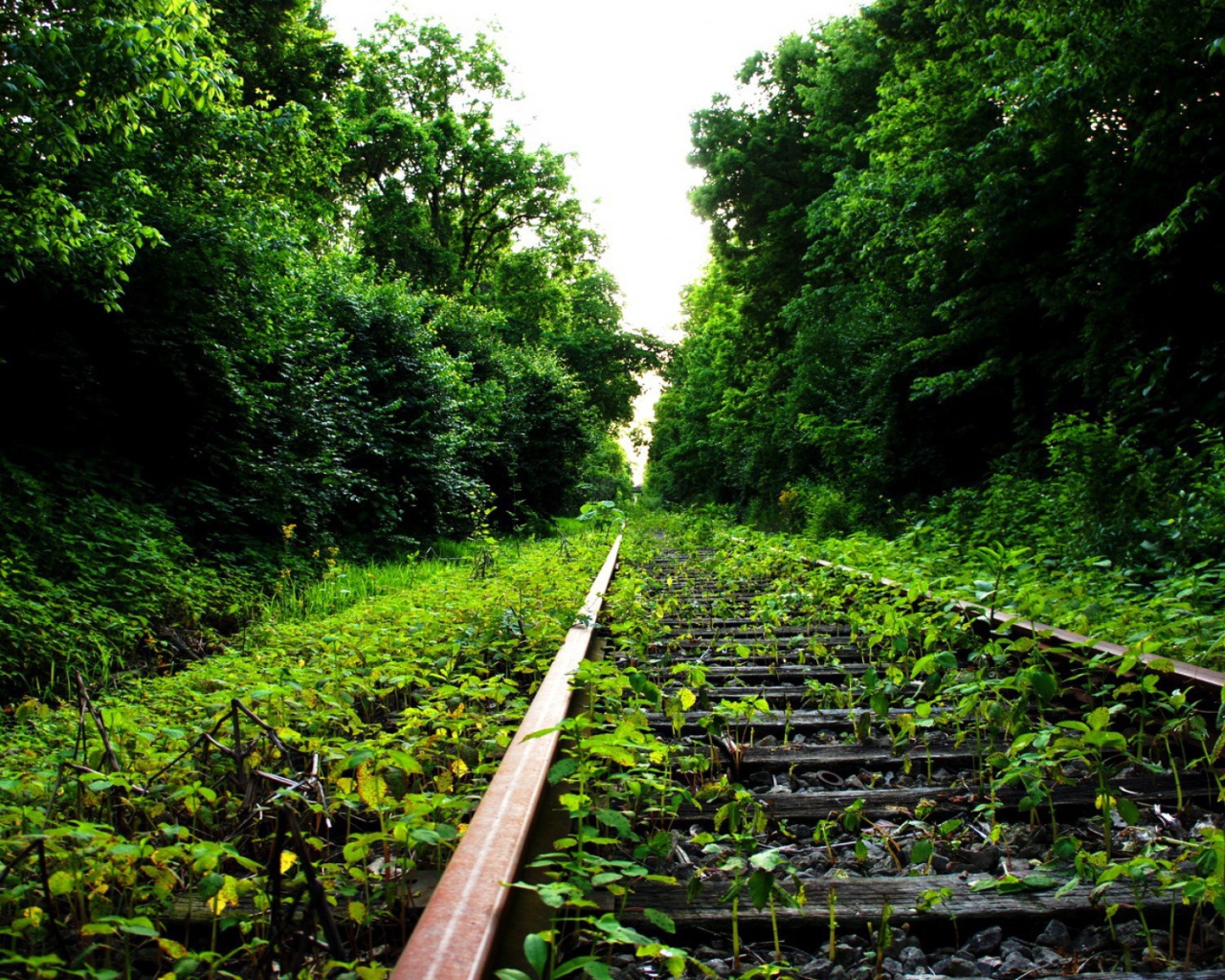 Заброшенный железнодорожный путь