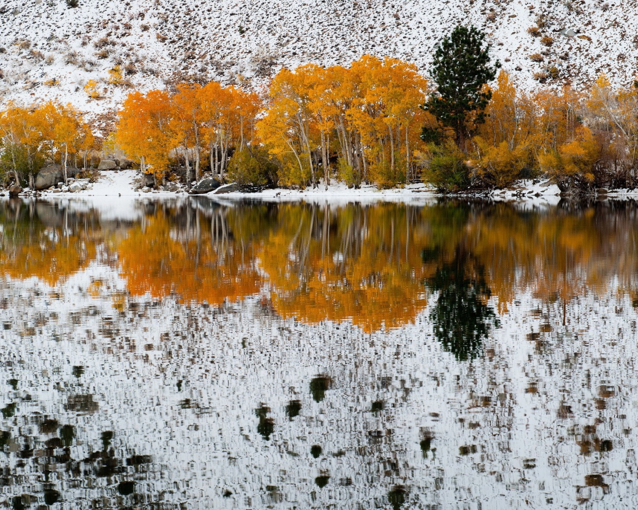 Осенние деревья на фоне первого снега отражаются в воде