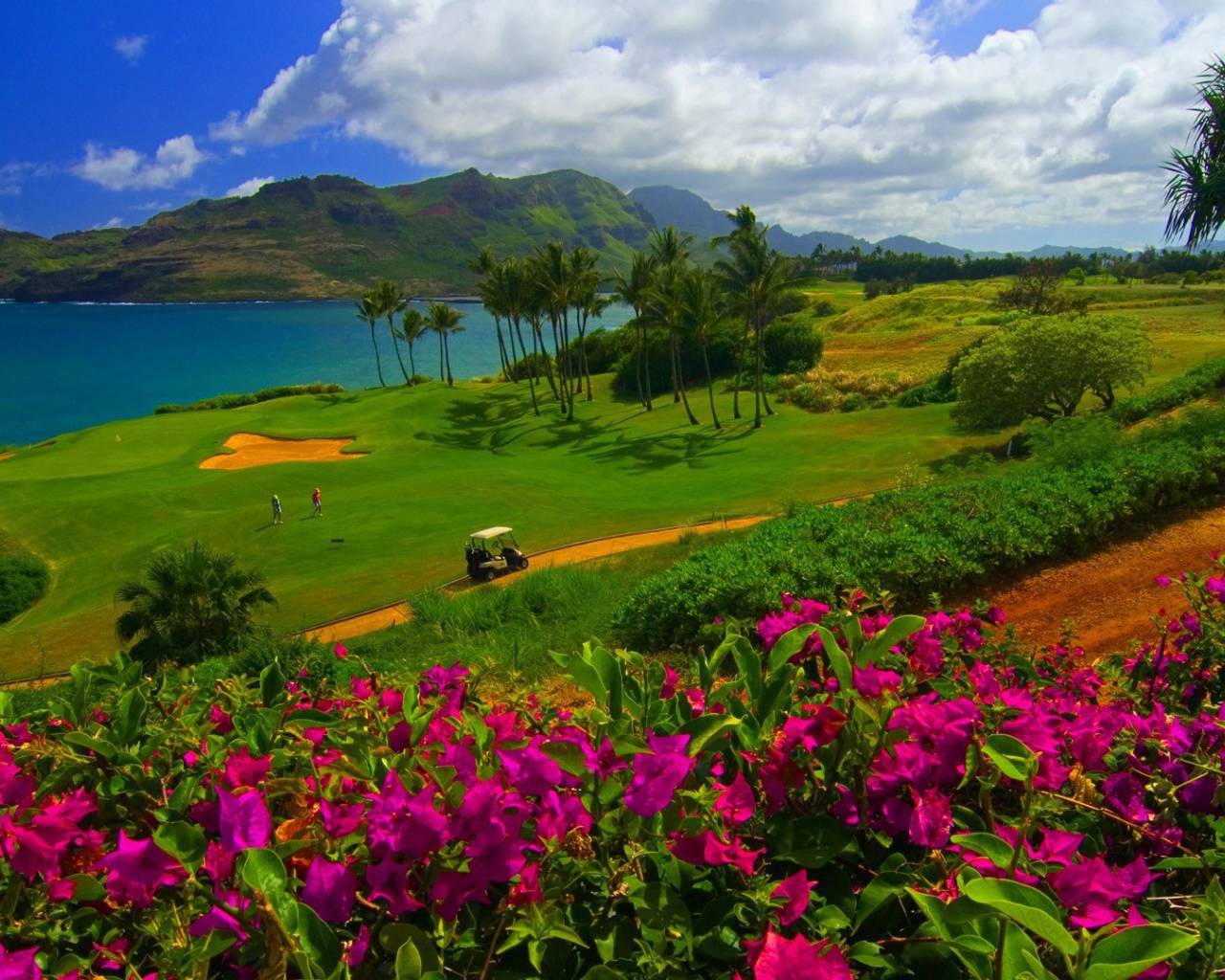 Красивый сад на песчаной почве