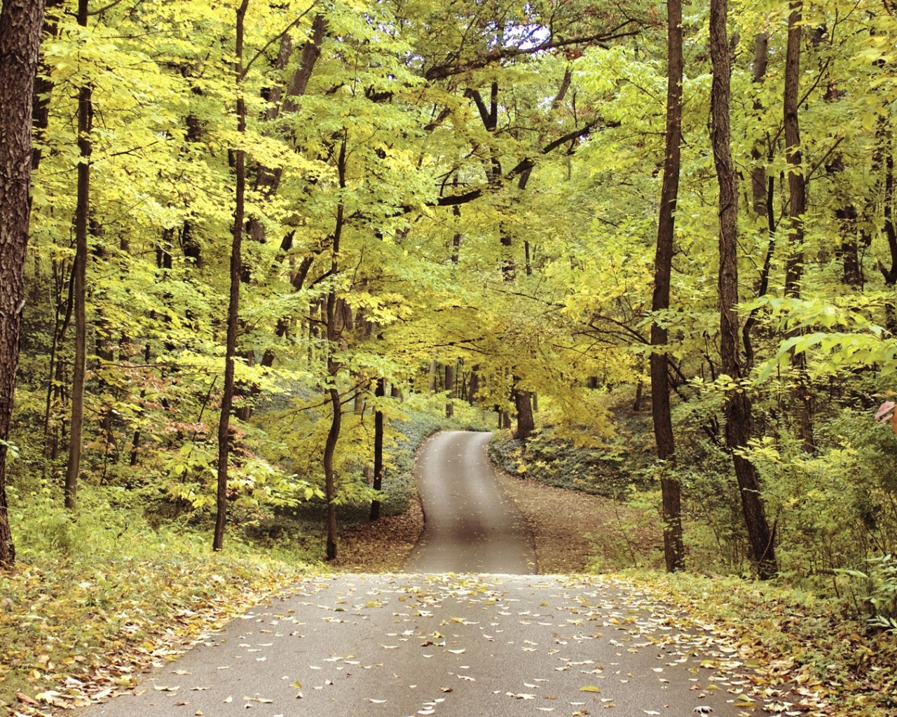 Велосипедная дорожка в осеннем парке