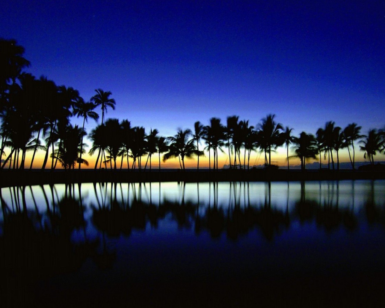 Темные силуэты пальм на фоне неба