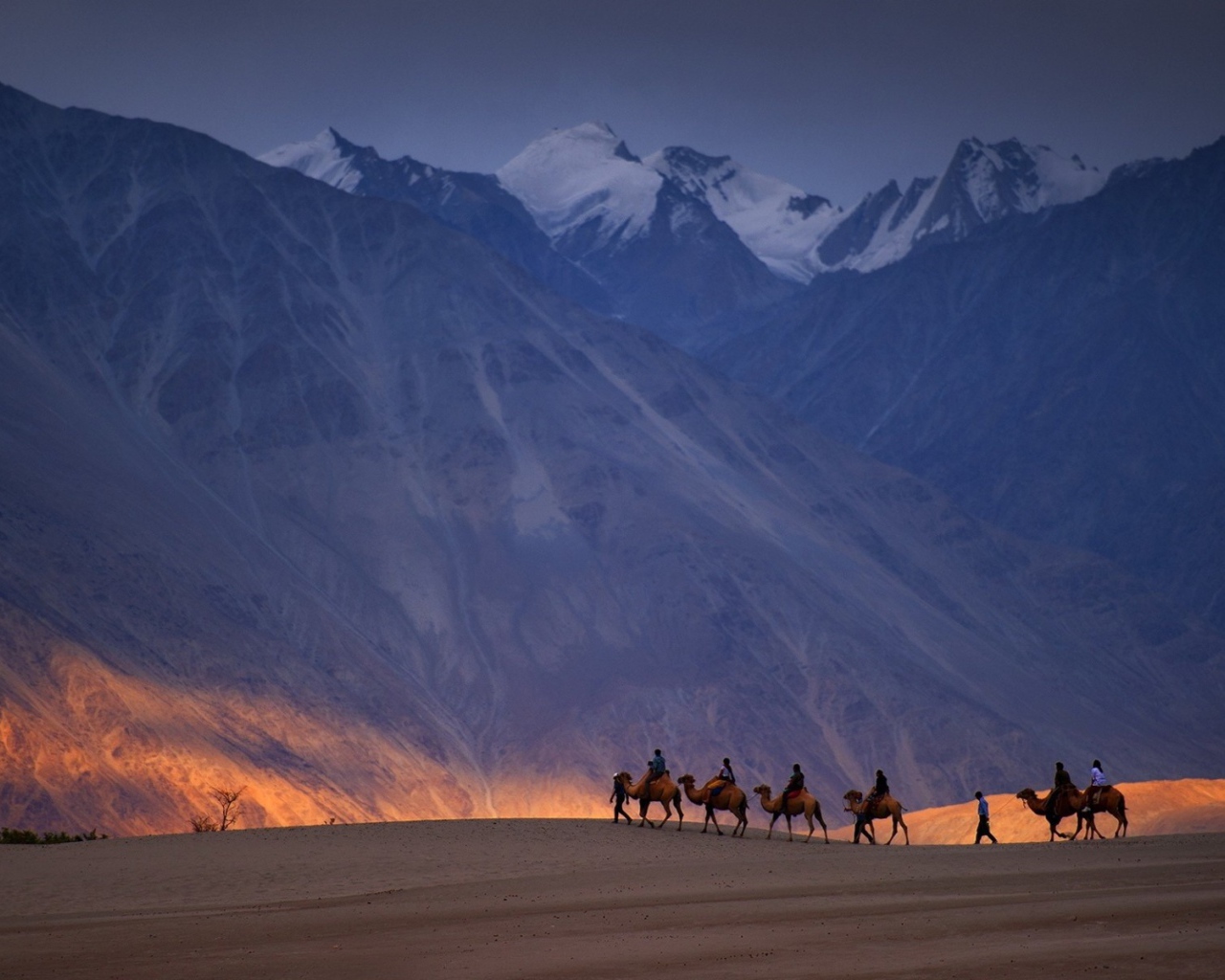 Караван верблюдов на фоне гор