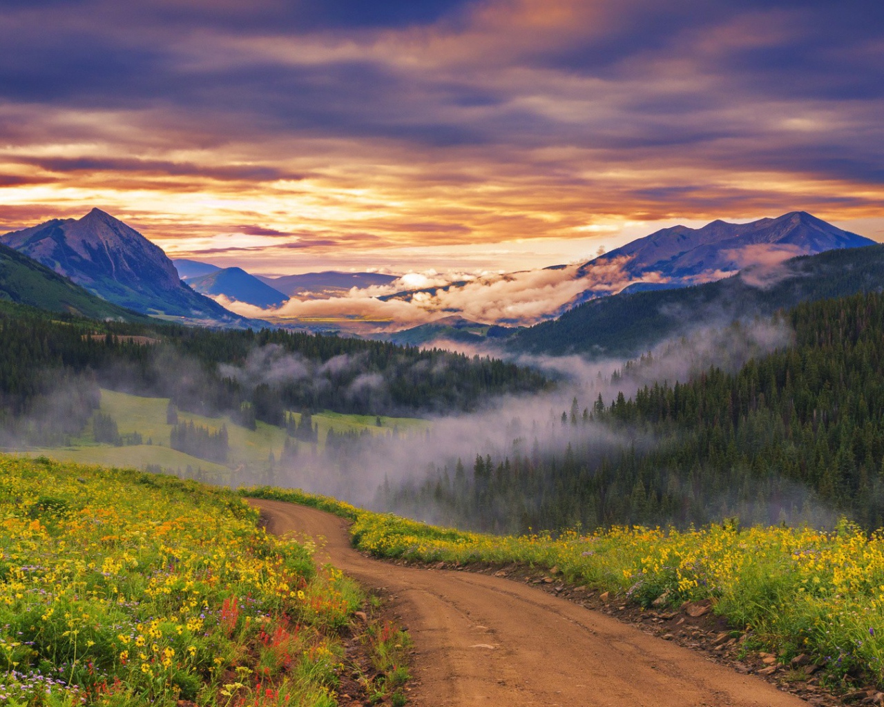 Облака опустились к вершинам деревьев