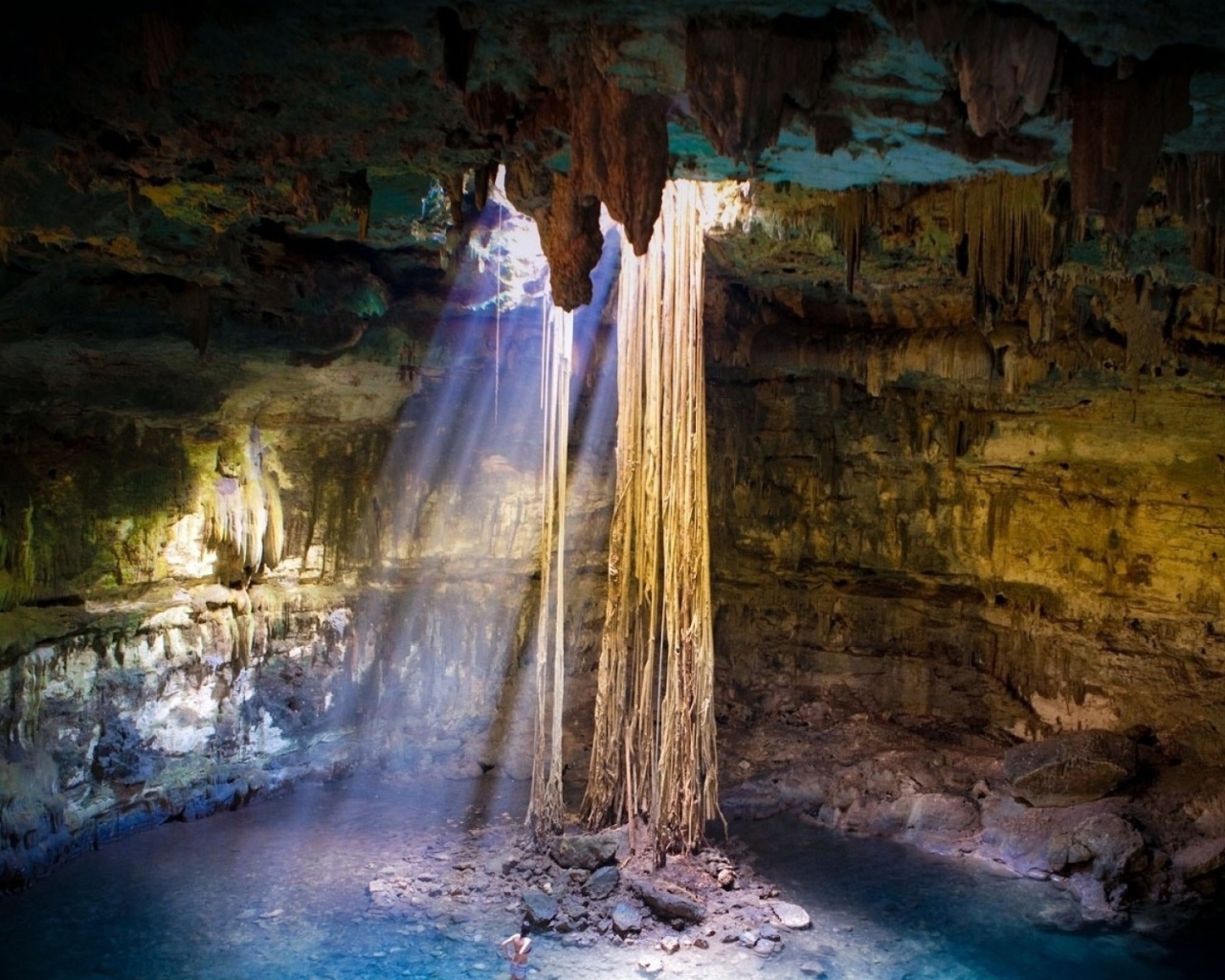 Лианы свисают с потолка пещеры