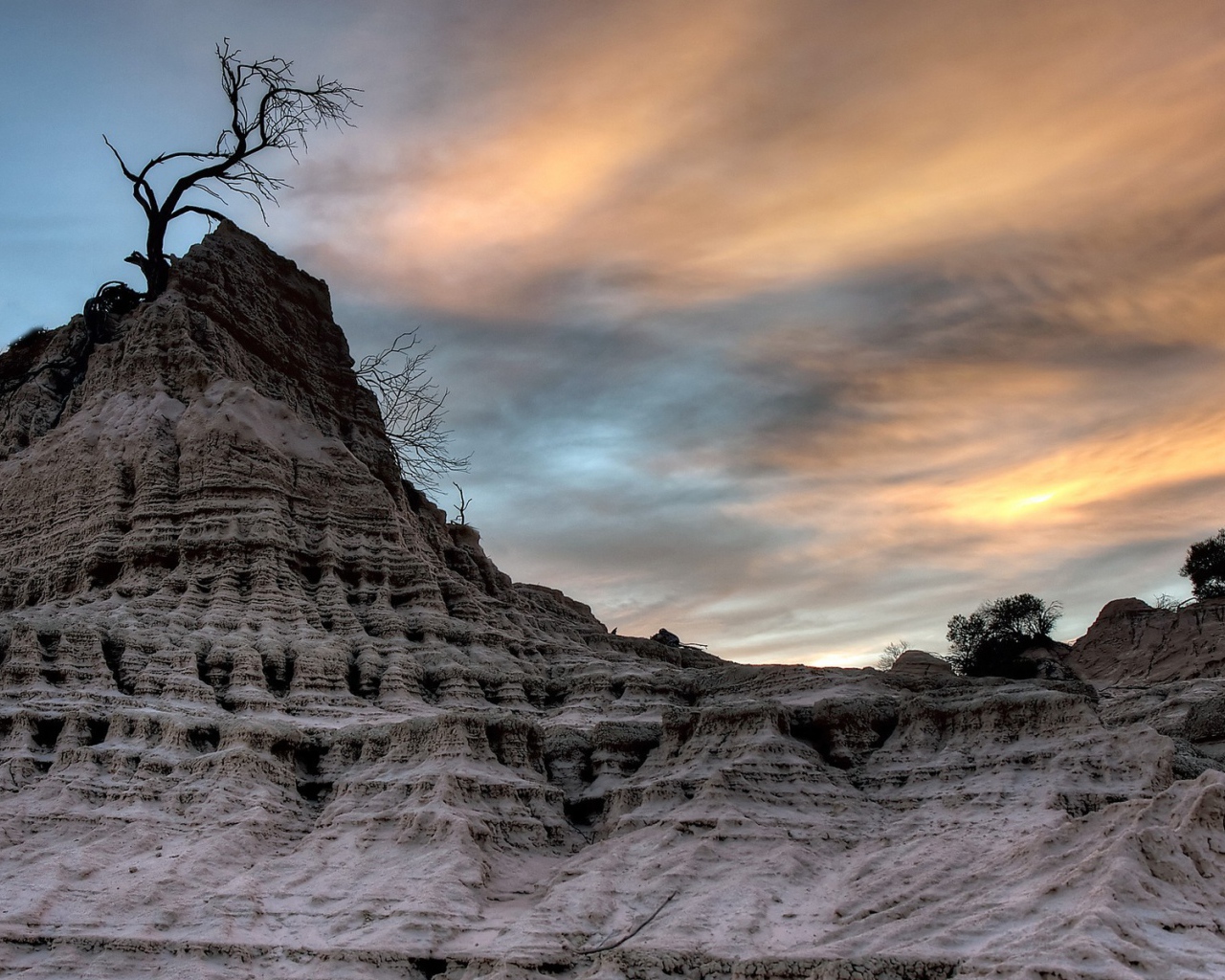 Засохшее дерево на вершине мертвой скалы