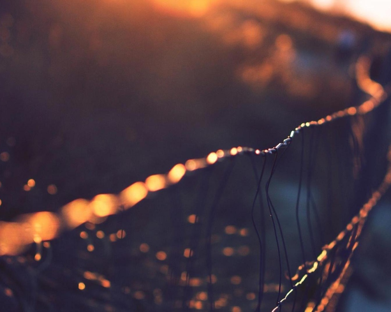 Капли росы на сетчатом заборе