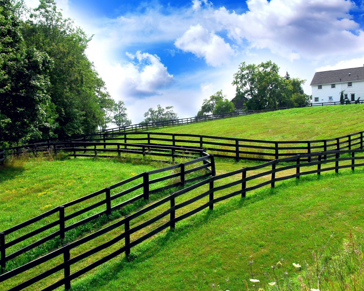 Заборы на границах участков