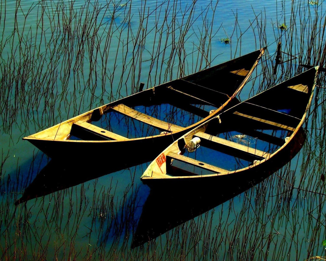 Затопленные лодки в зарослях