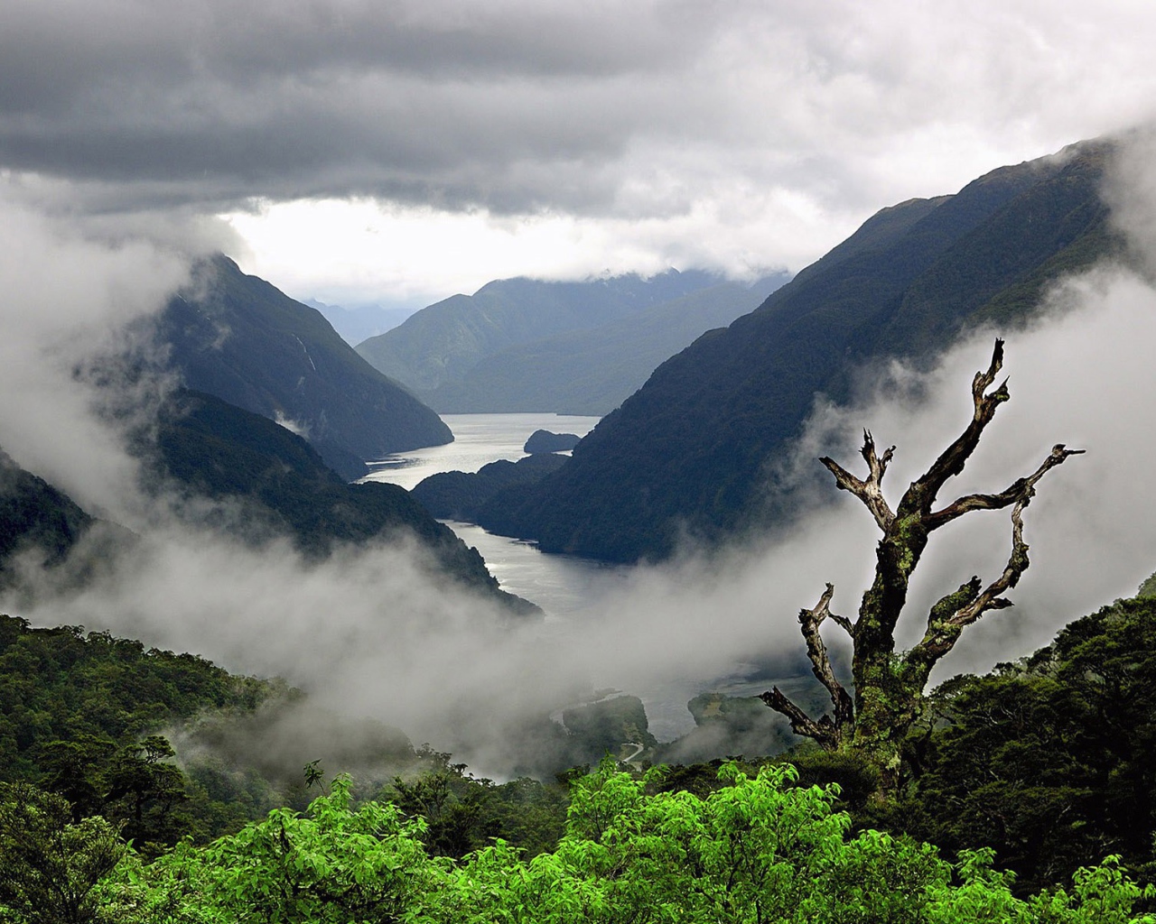 Туман стелется среди холмов