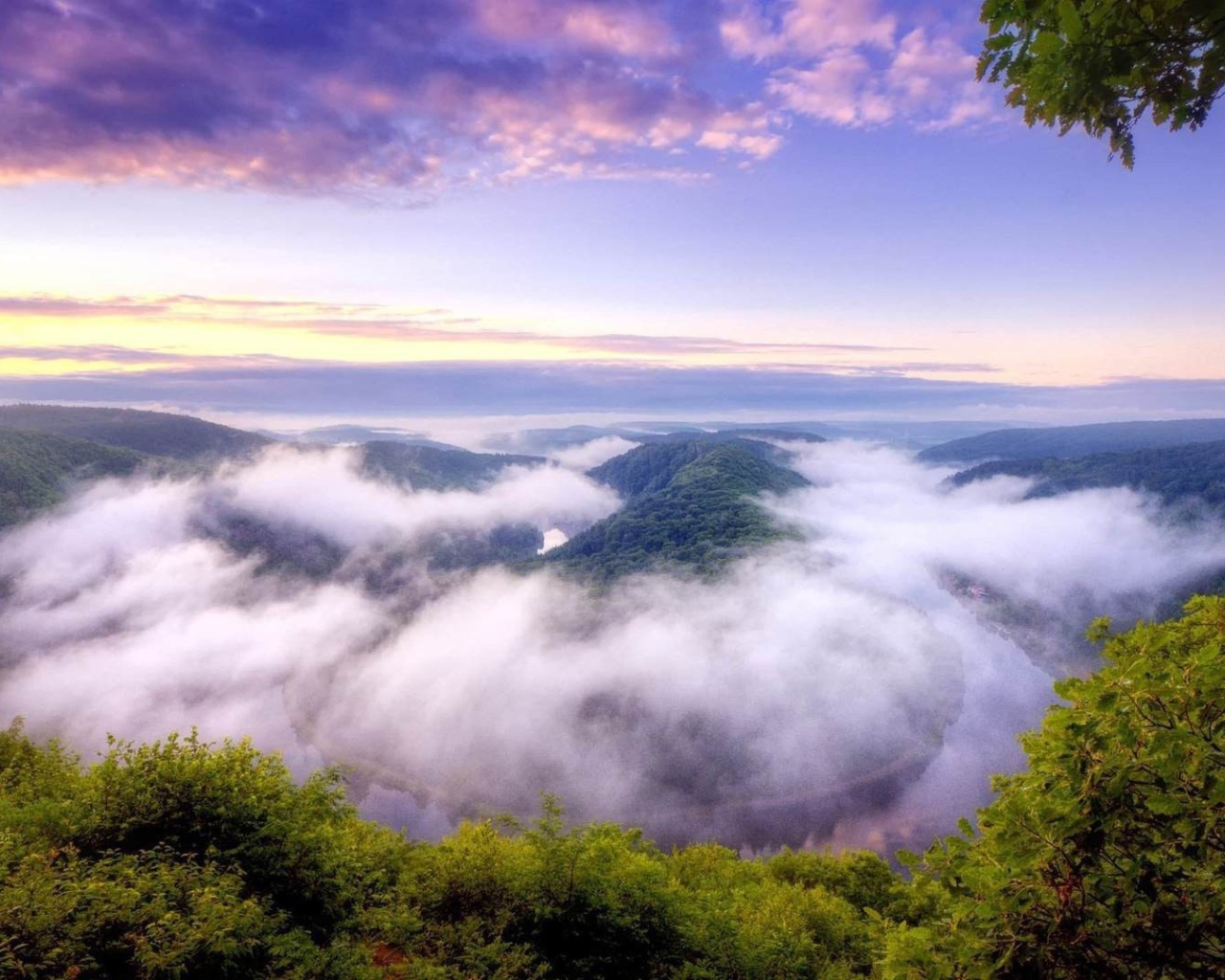 Туман над покрытыми густым лесом горами