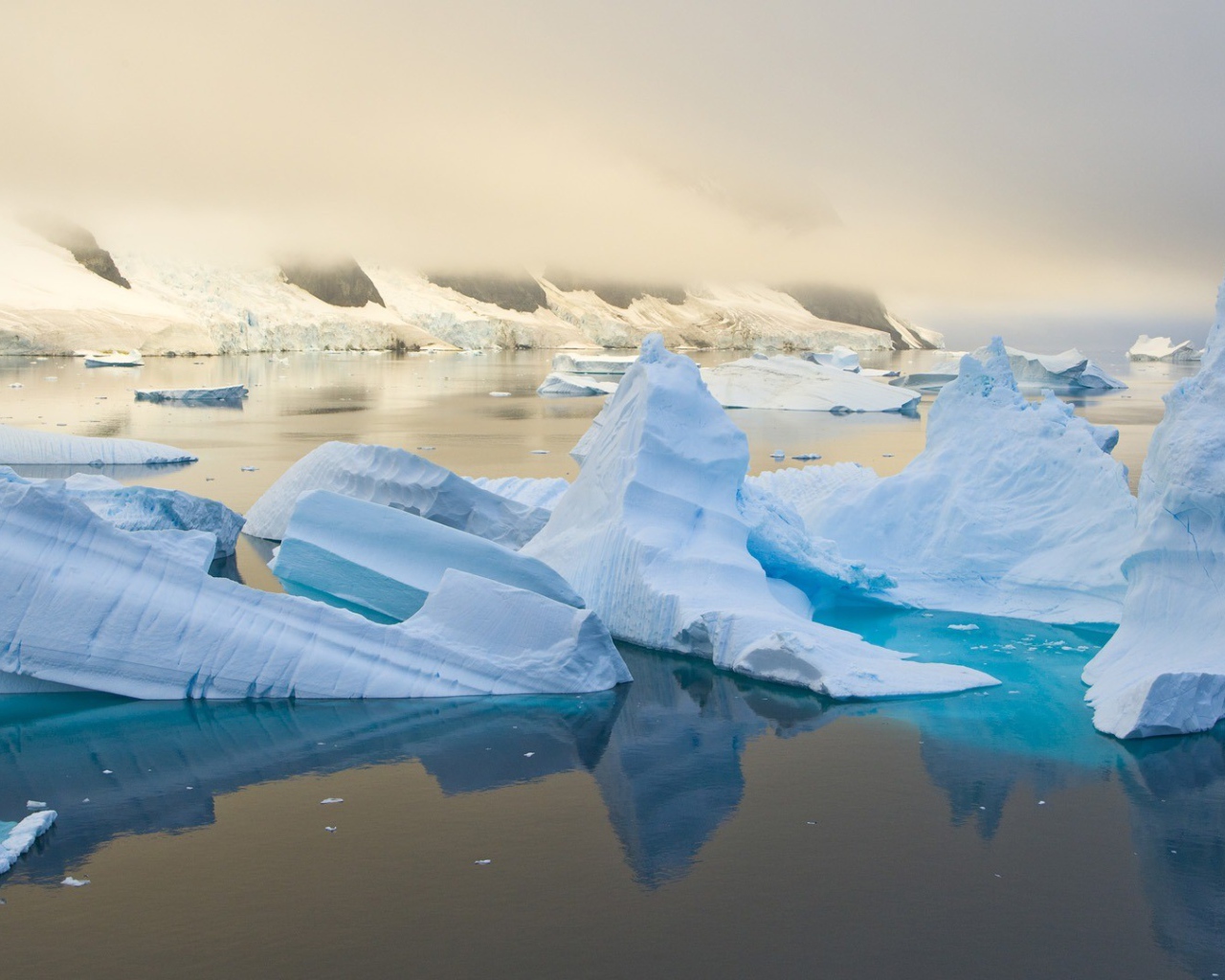 Обломки голубого льда в воде