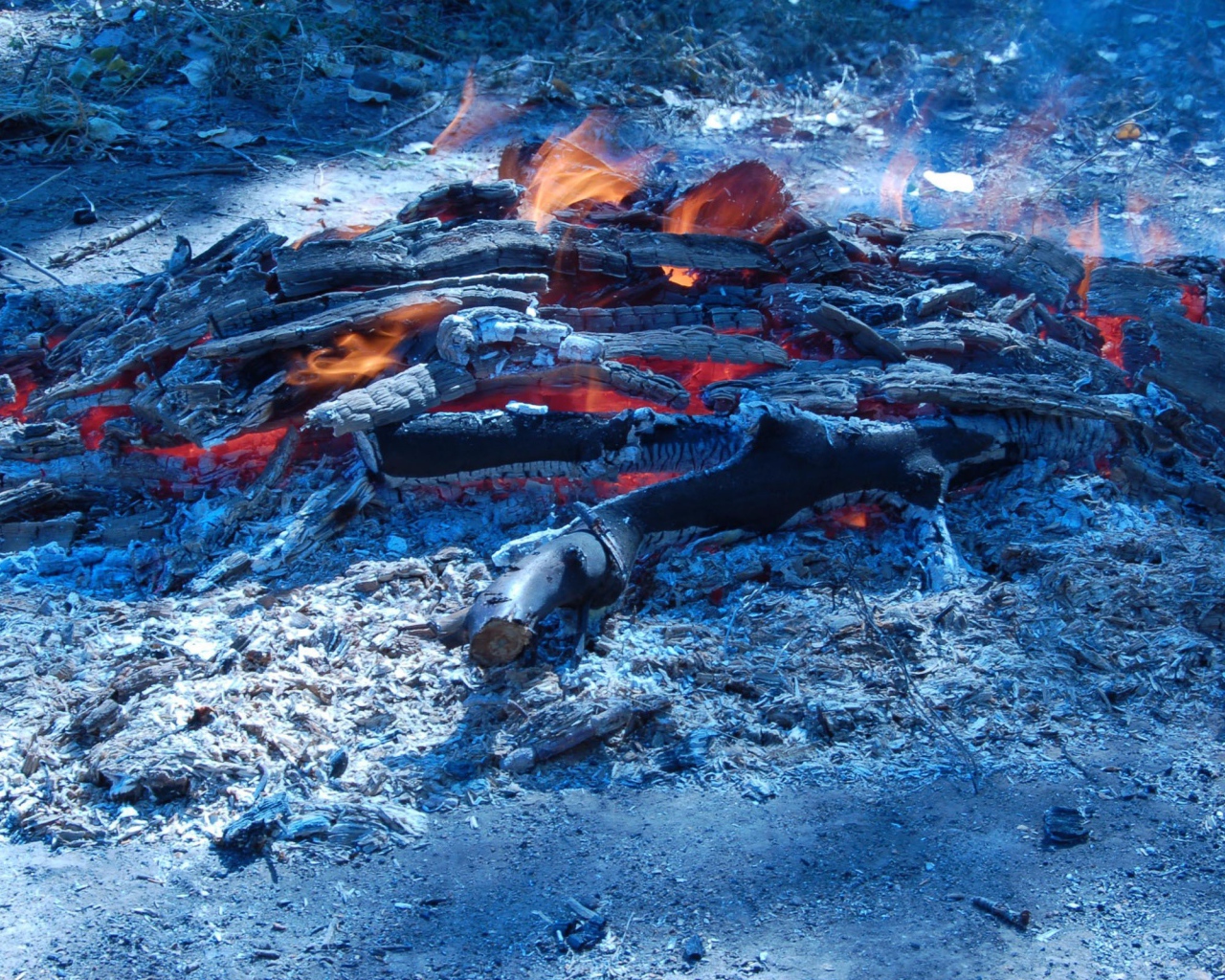 Сизые угли костра